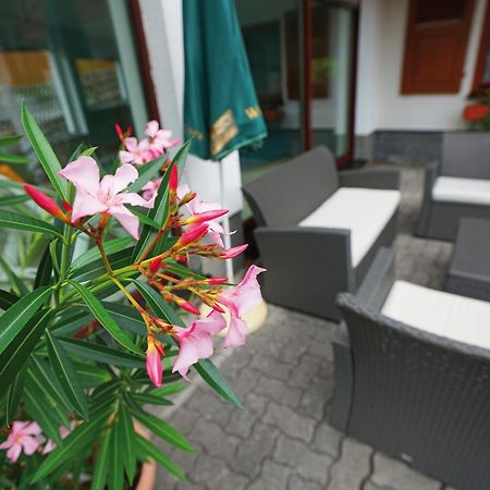 Landhotel Gasthof Zwota Klingenthal Buitenkant foto