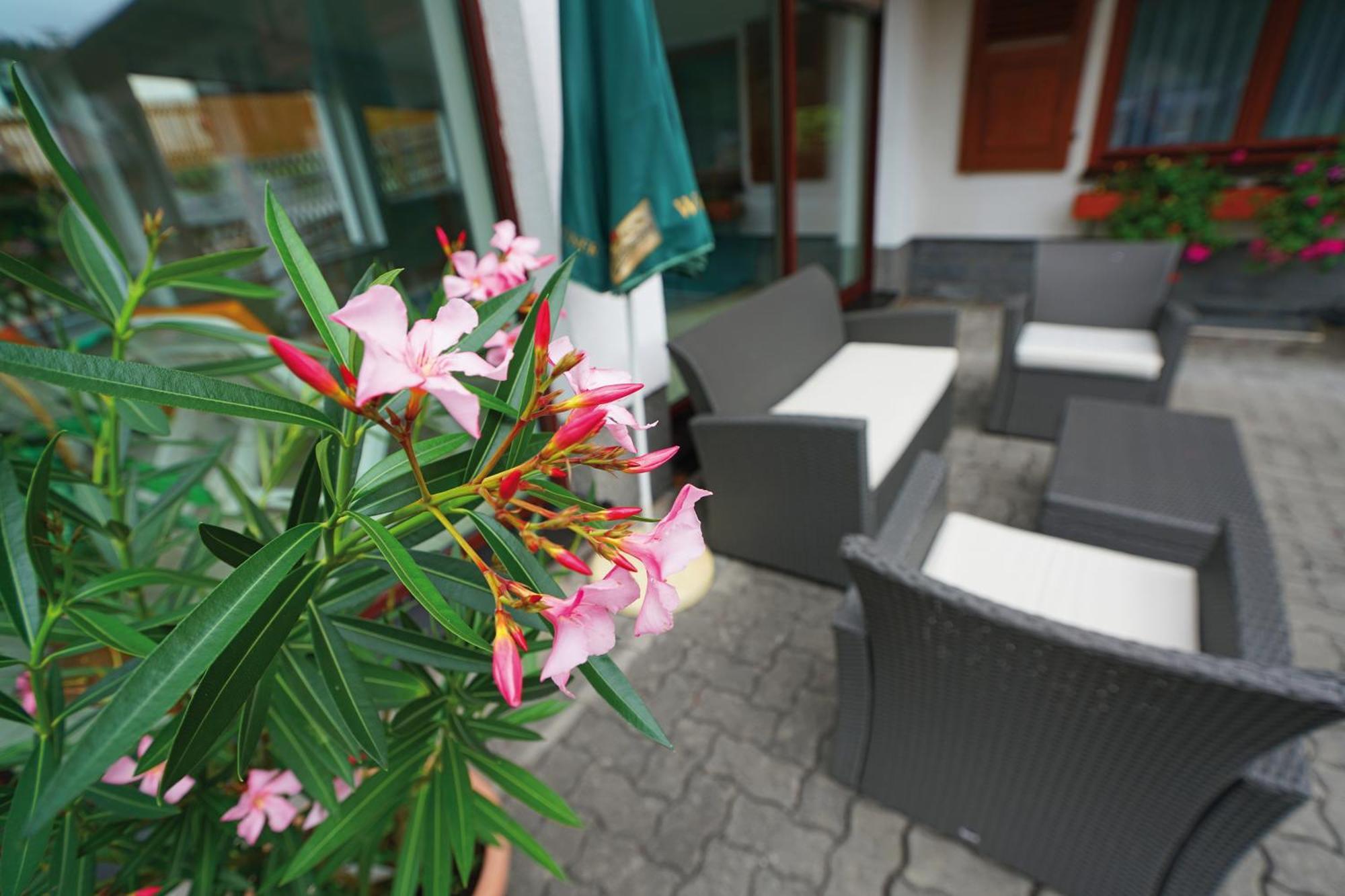 Landhotel Gasthof Zwota Klingenthal Buitenkant foto