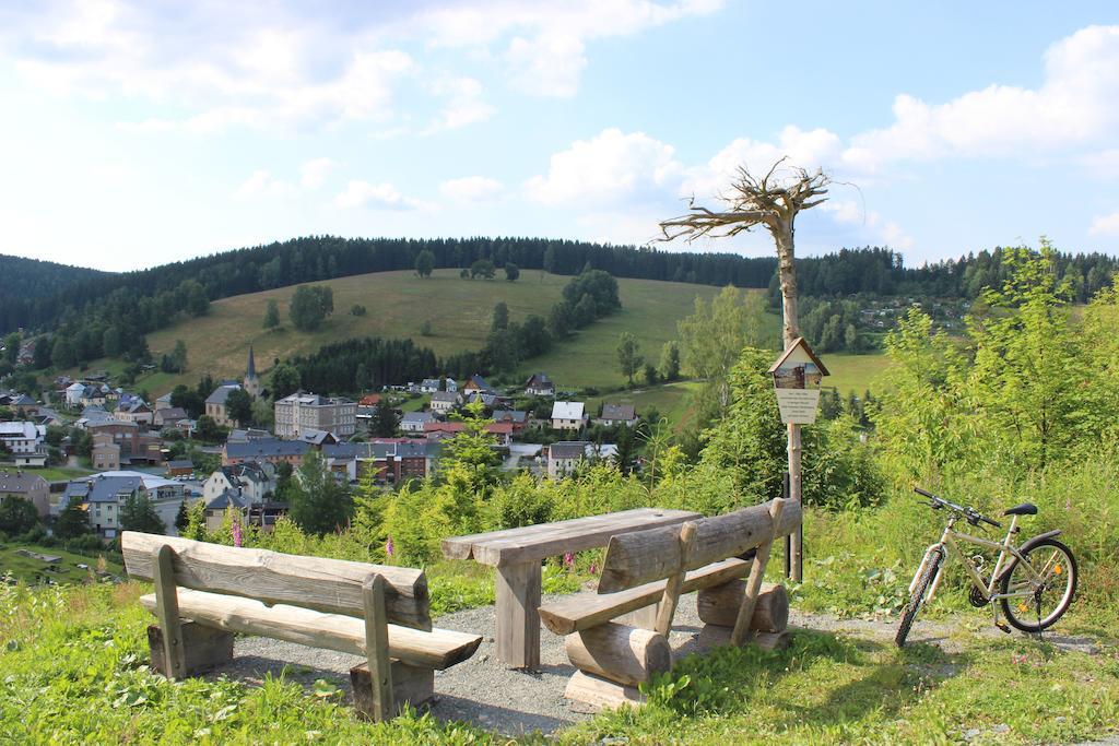 Landhotel Gasthof Zwota Klingenthal Buitenkant foto